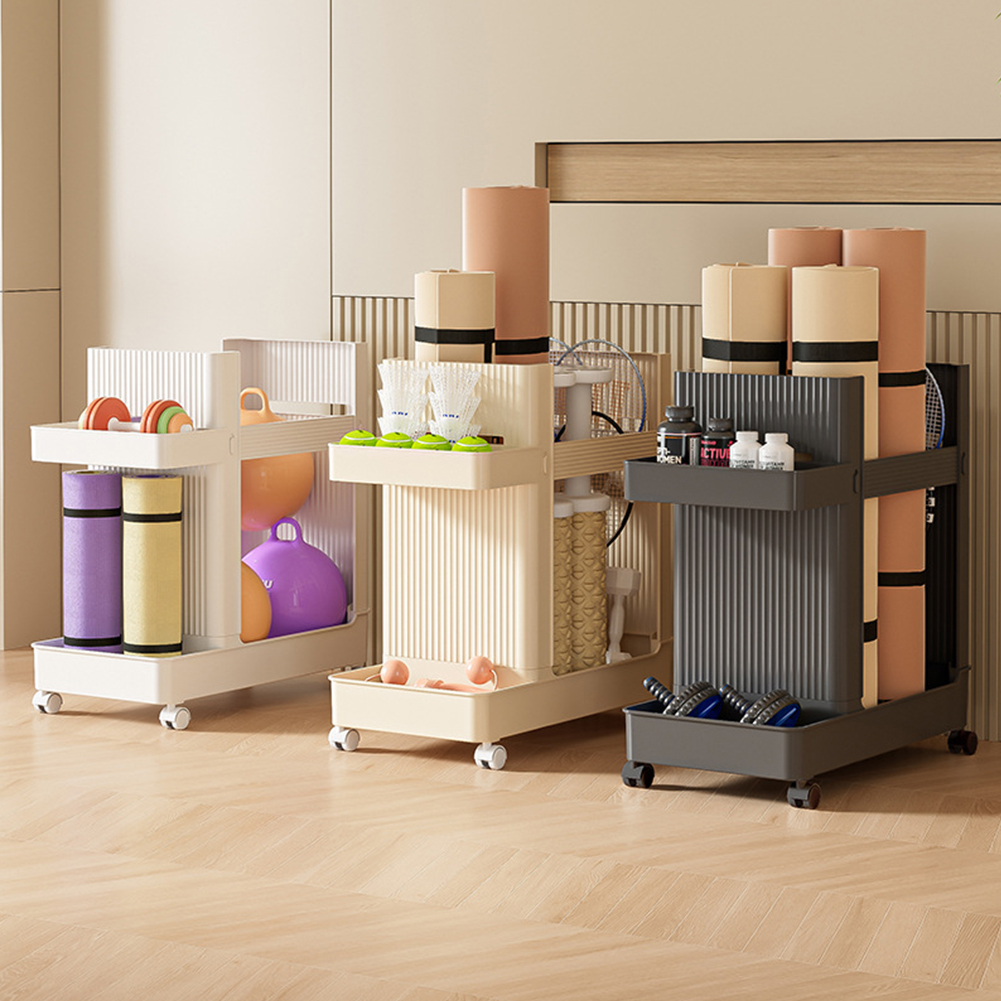 Rak Penyimpanan Peralatan Gym  - Sports Equipment Organizer Rack ulasan dan harga