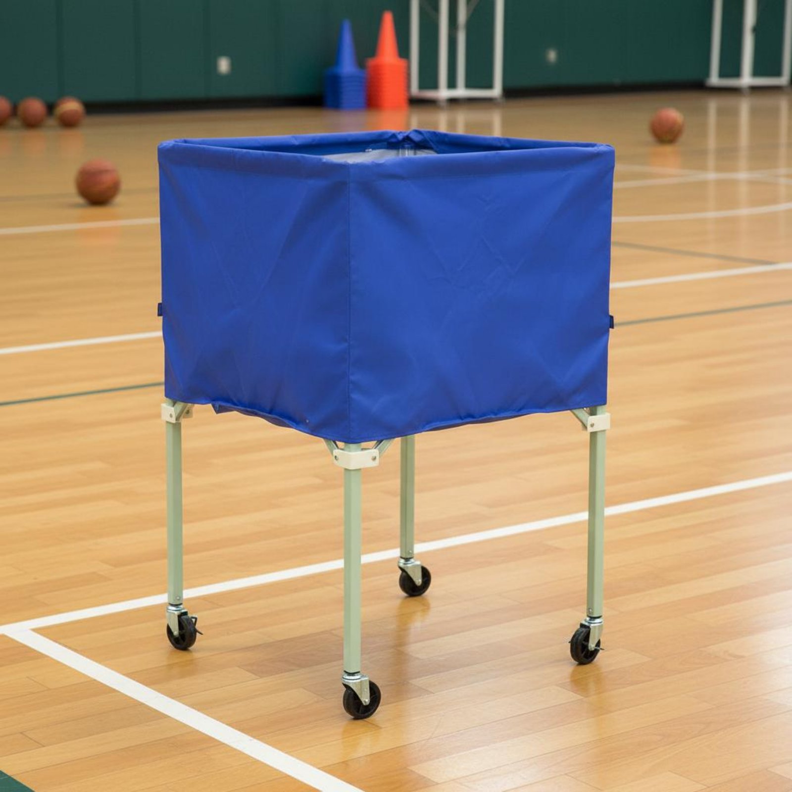 Penutup Kendaraan Beroda Pelin - Sports Equipment Organizer Rack ulasan dan harga